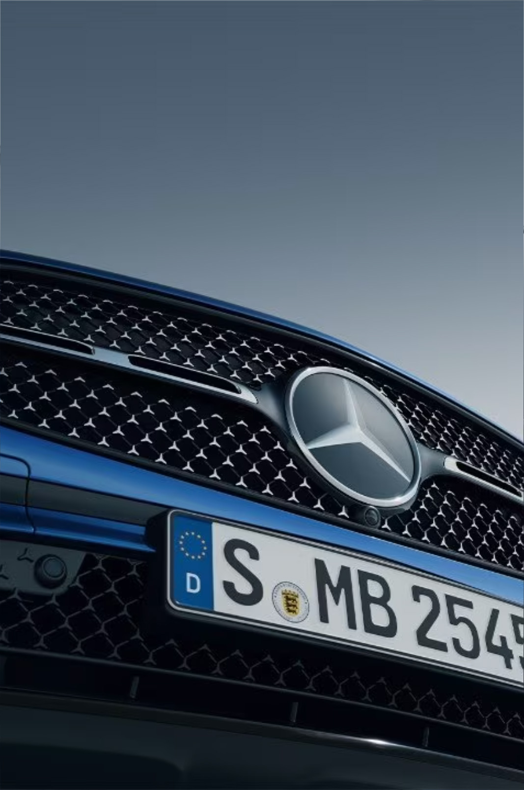 Il nuovo Frontale con mascherina<br />
del radiatore sportiva e Mercedes-Benz Pattern.